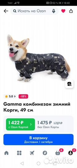 Одежда для собак