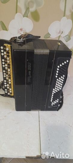 Баян Тула 202