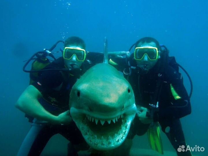 Дайвинг в Мостовском