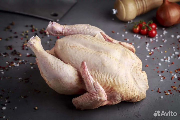 Домашнее Мясо Кур курятина