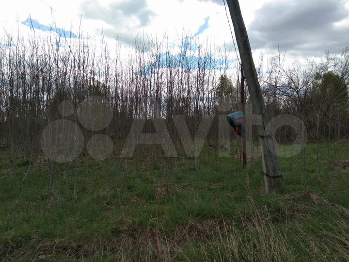 Участок 45 сот. (СНТ, ДНП)