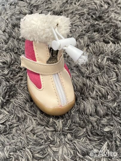 Амуниция поводок обувь одежда миска для собак