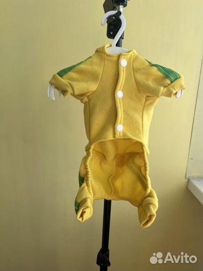 Одежда для собак