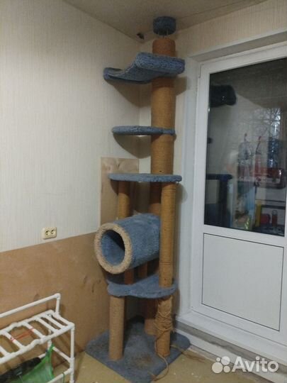 Когтеточка