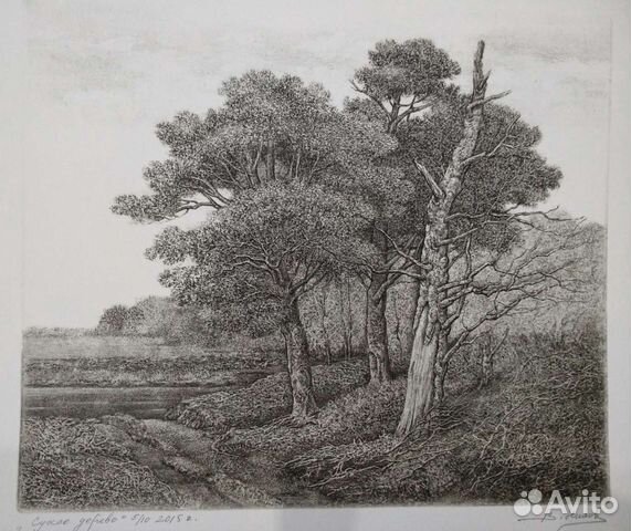 Графика офорты. Офорты владимира нилова. Графика офорты. Никиреев офорты. Офорт никиреева венеция.