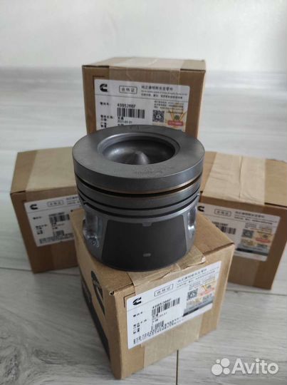 Поршень Газель cummins 2.8