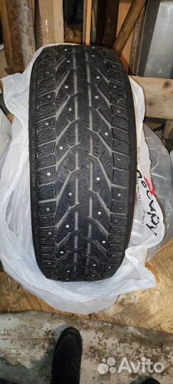 Tigar Ice 205/55 R16