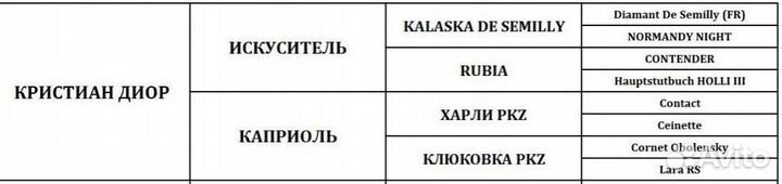 Продам жеребёнка