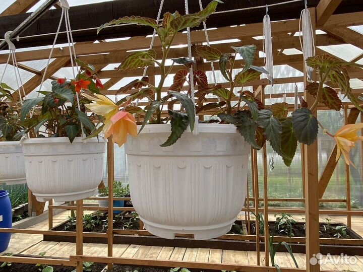 Кашпо для цветов