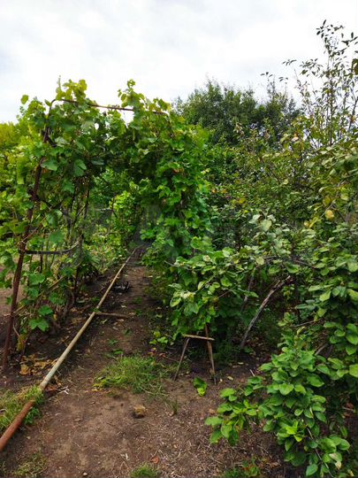 Дача 18 м² на участке 7,2 сот.