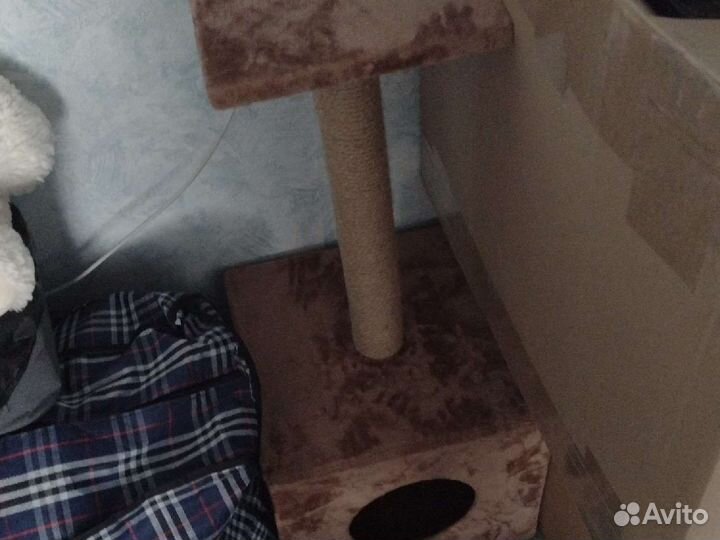 Когтеточка домик для кошки