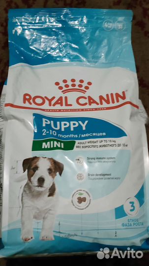 Корм для собак