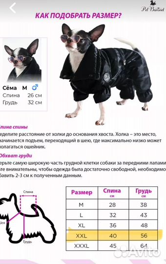 Куртка для средних собак