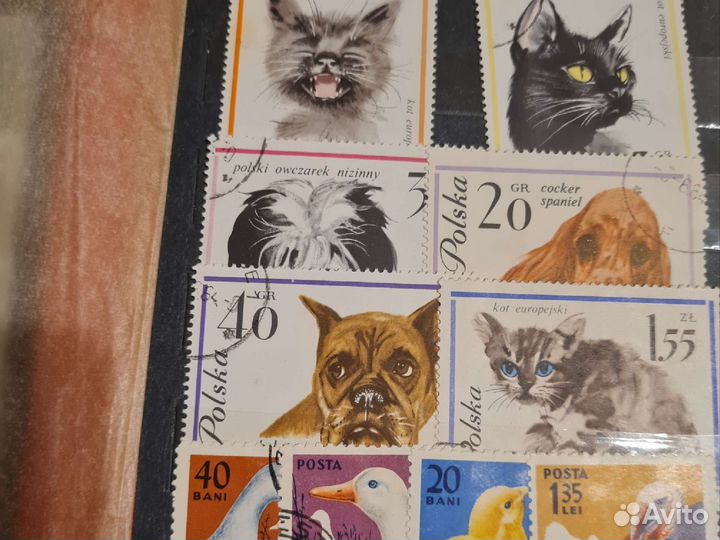 Марки в альбомах коллекции