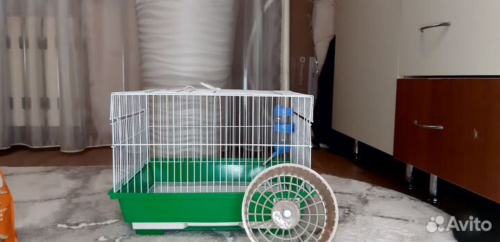 Клетка для грызунов и корм