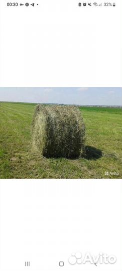 Сено в тюках