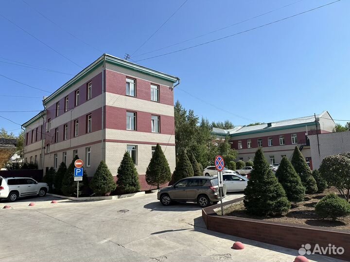 Озеленение комплексное под ключ от питомника Veles