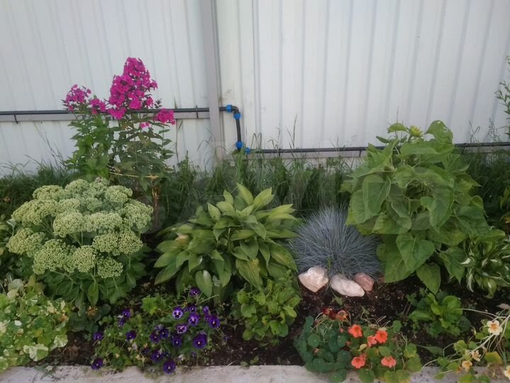 Дом 27 м² на участке 16 сот.