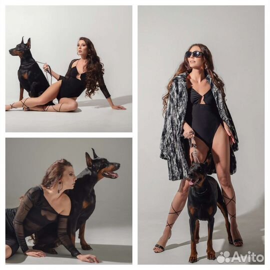 Фотограф, фотопроекты