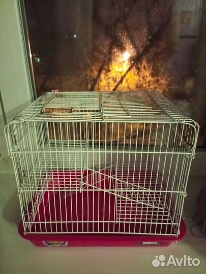 Клетка для хомяка бу