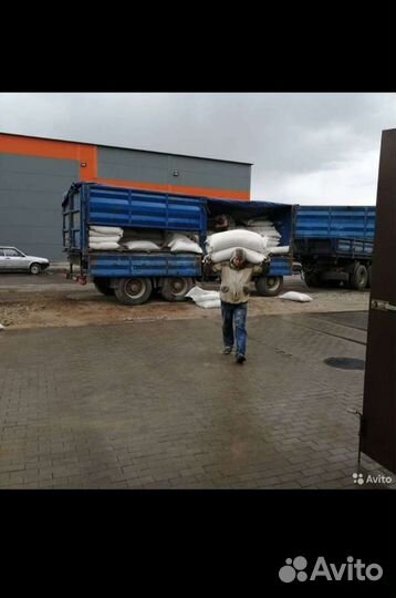 Грузчики, разнорабочие, сборка мебели