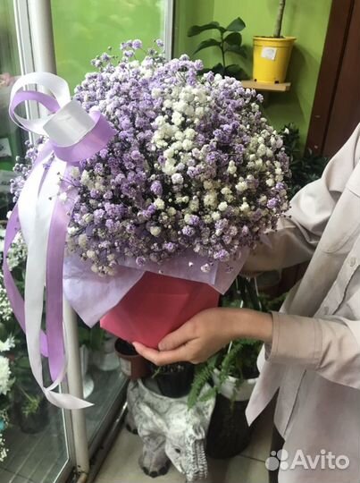 Композиции из гипсофилы