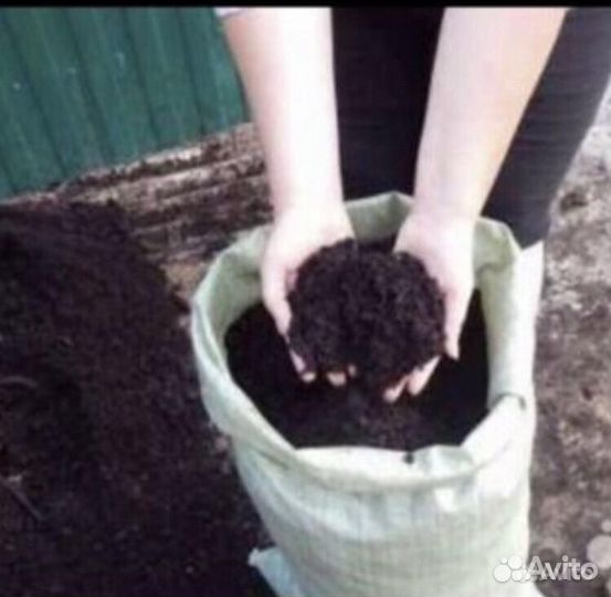 Чернозем перегой конский коровий