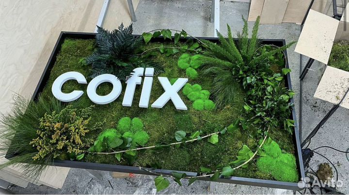 Картина из мха в ресторан или кафе