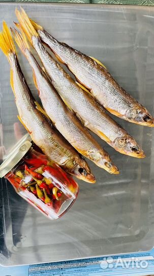 Рыба холодного копчения