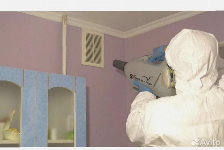 Уничтожение клопов тараканов грызунов блох