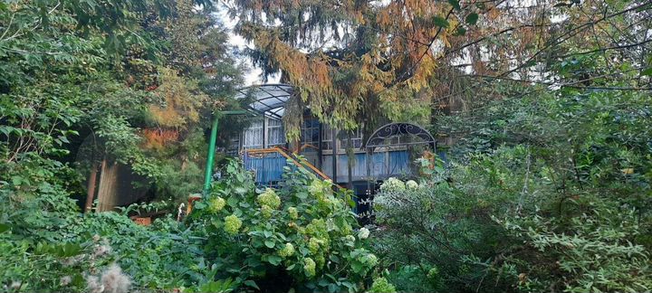 Дом 51,8 м² на участке 6,8 сот.