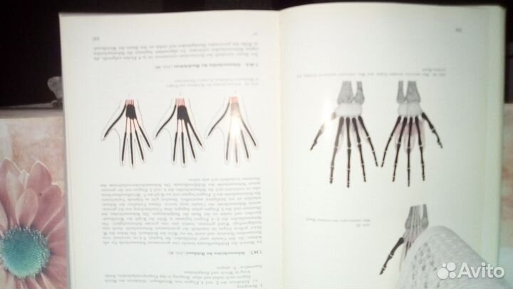 Книги по массажу и нумезматике