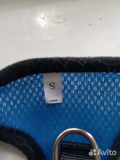 Шлейка с поводком