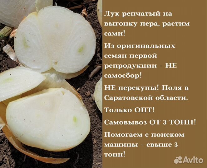Лук Штутгарт на перо от 3 тонн