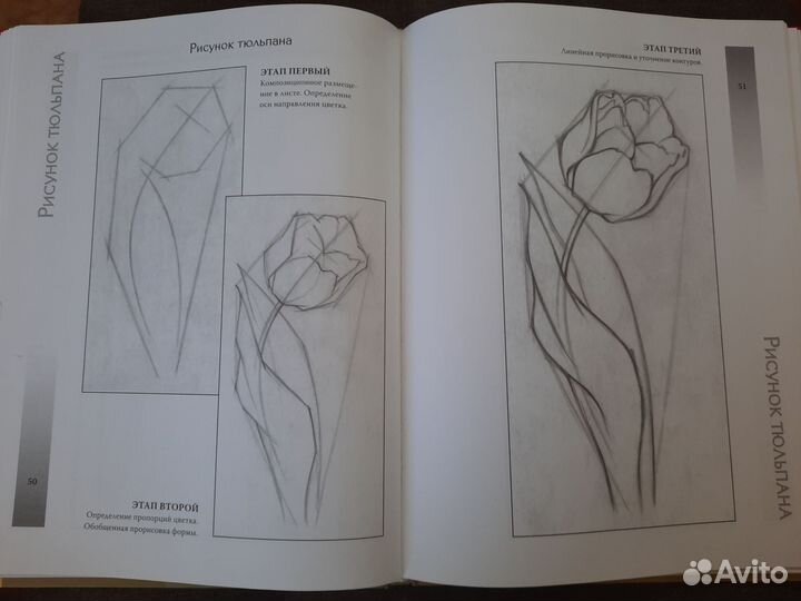 Учебное издание В.П. Пенова - Рисуем карандашом