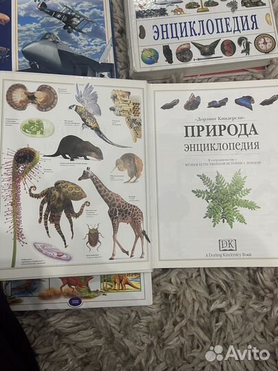 Энциклопедии для детей, динозавры, я познаю мир