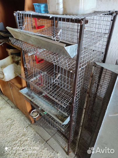 Клетки для перепелов