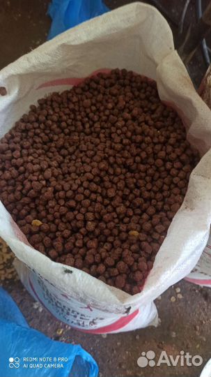 Корма для животных