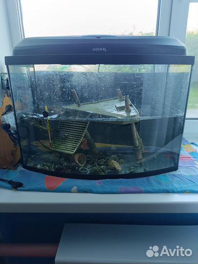 Аквариум 60л.с черепахой