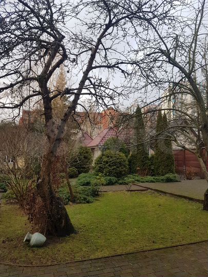 Участок 6,1 сот. (ИЖС)