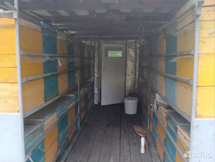 Пчело повилеон