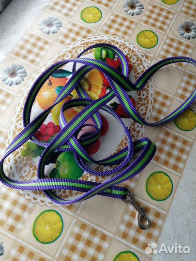 Ошейник и поводок для собак