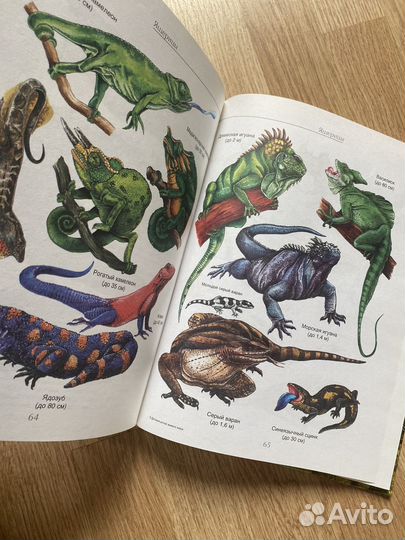 Атлас животных