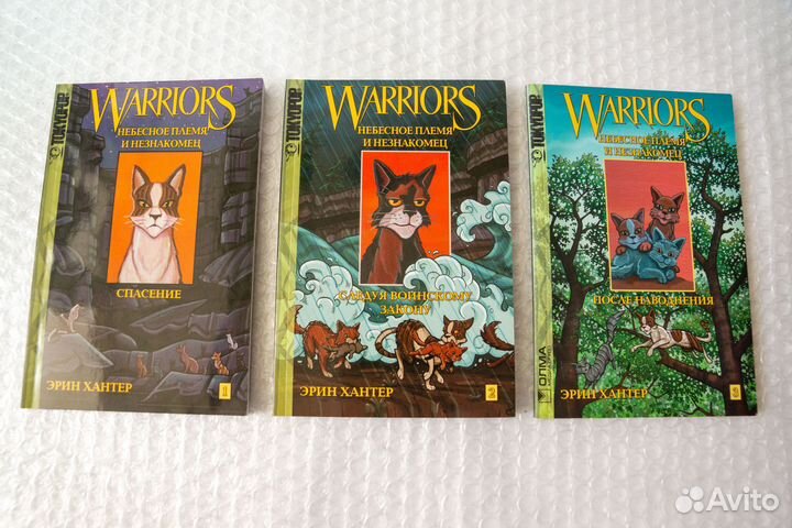 Небесное племя и незнакомец (манга) 3-03 Воители