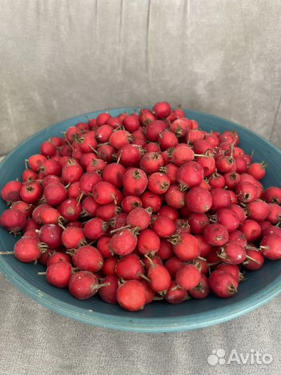 Боярышник ягоды