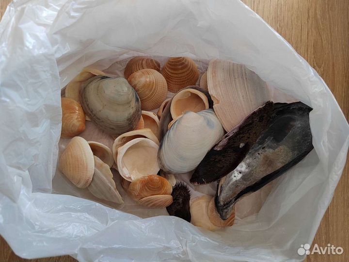 Аквариумные растения