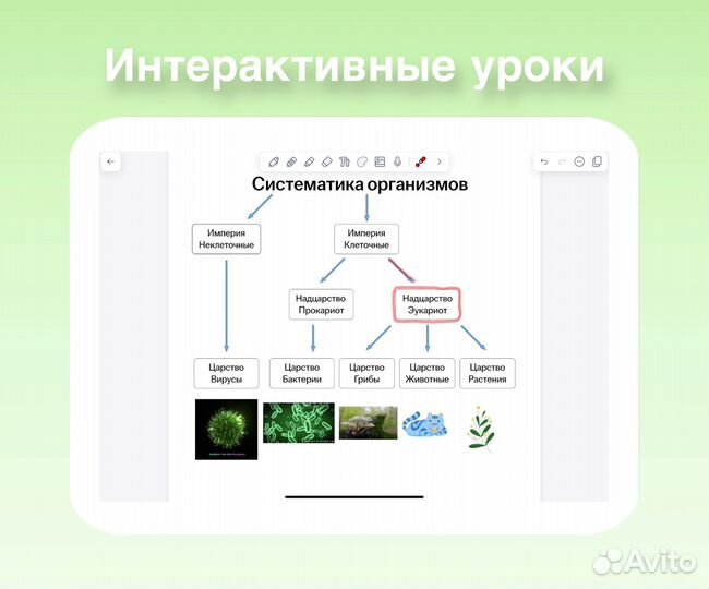Репетитор по биологии