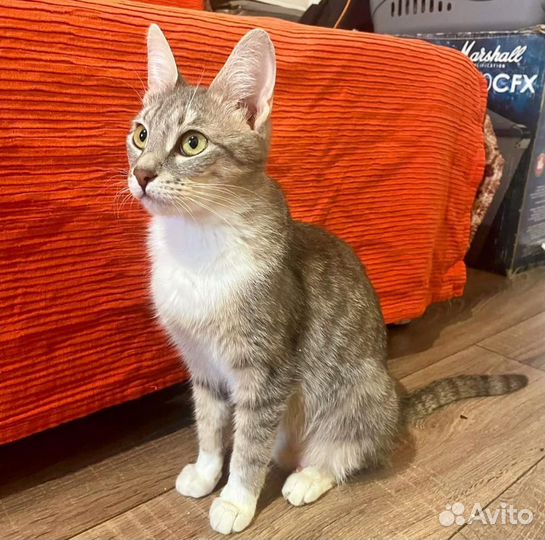 Грэйс очень нужна семья