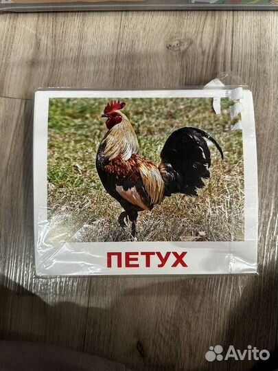 Карточки Вундеркинд с пеленок