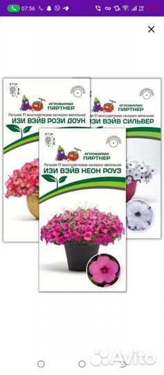 Петуния тайдал